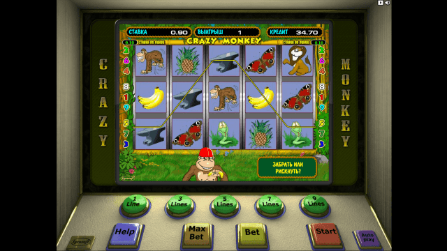 Crazy Monkey 10